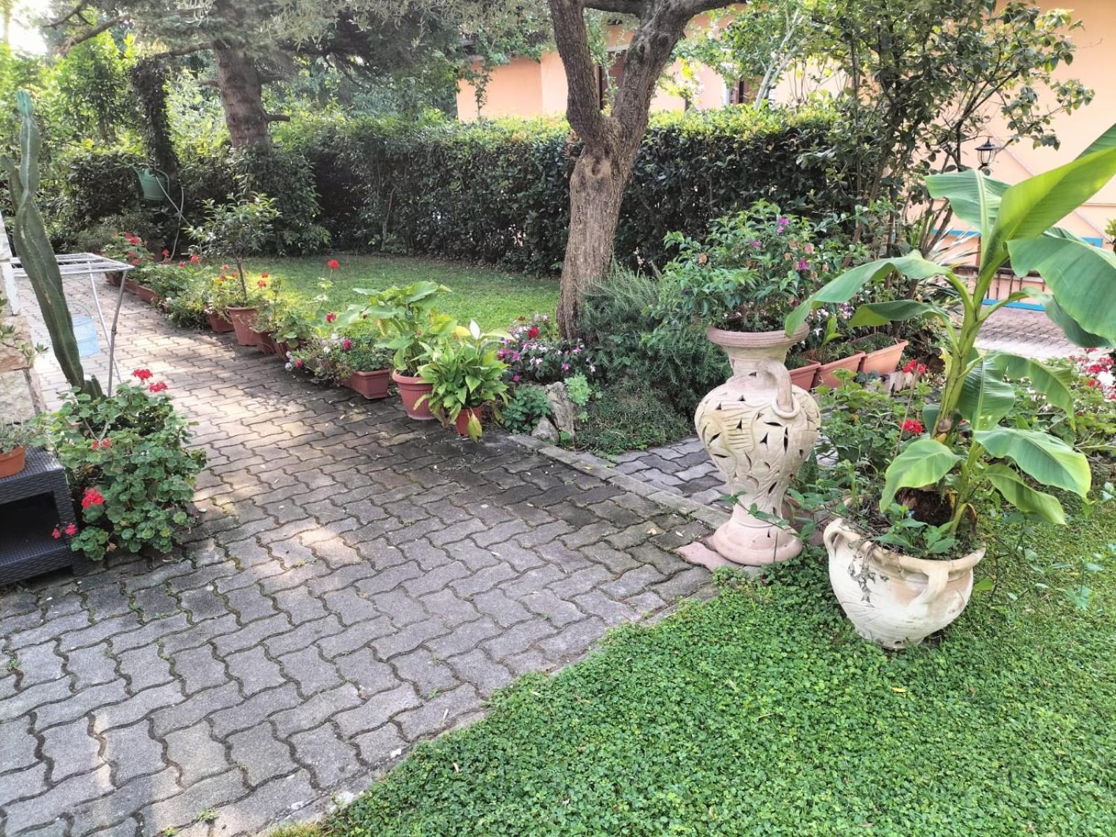 מונזמבנו Casa Belvedere מראה חיצוני תמונה