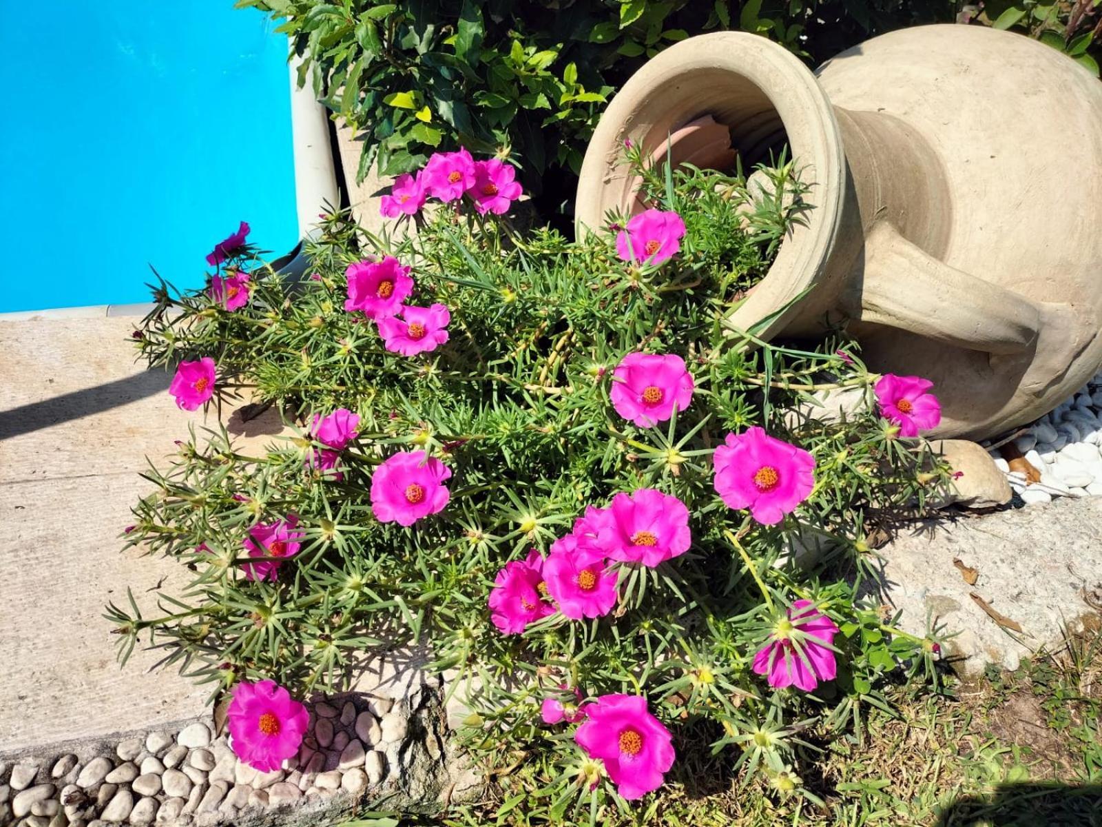 מונזמבנו Casa Belvedere מראה חיצוני תמונה