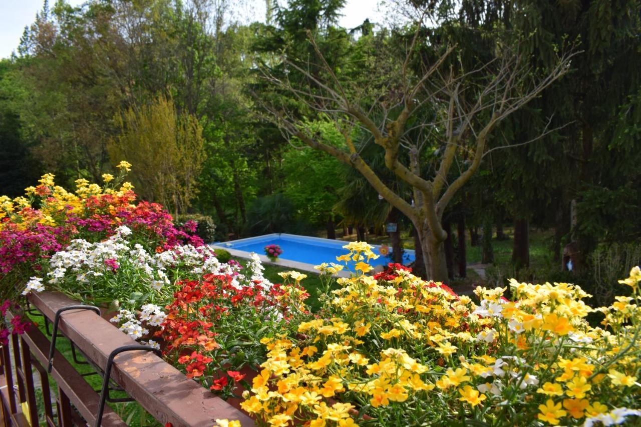 מונזמבנו Casa Belvedere מראה חיצוני תמונה